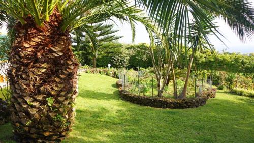 Séjour chez l'habitant Quinta dos Aromas Canada da Leiteira 11 no 11 Lagoa