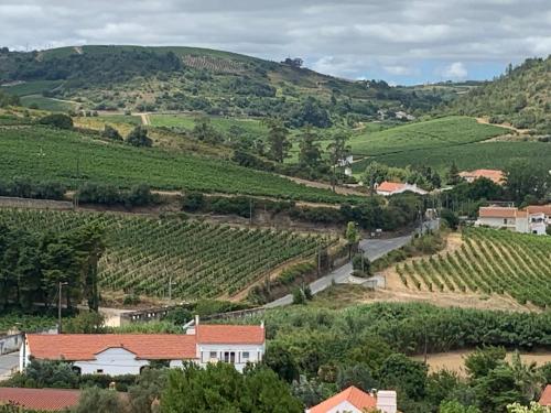 Quinta Ribeira do Labrador - Lisbon West Wine Route Alenquer portugal