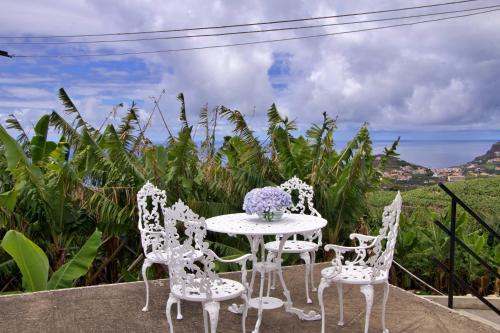 Quinta Tallinus Funchal portugal