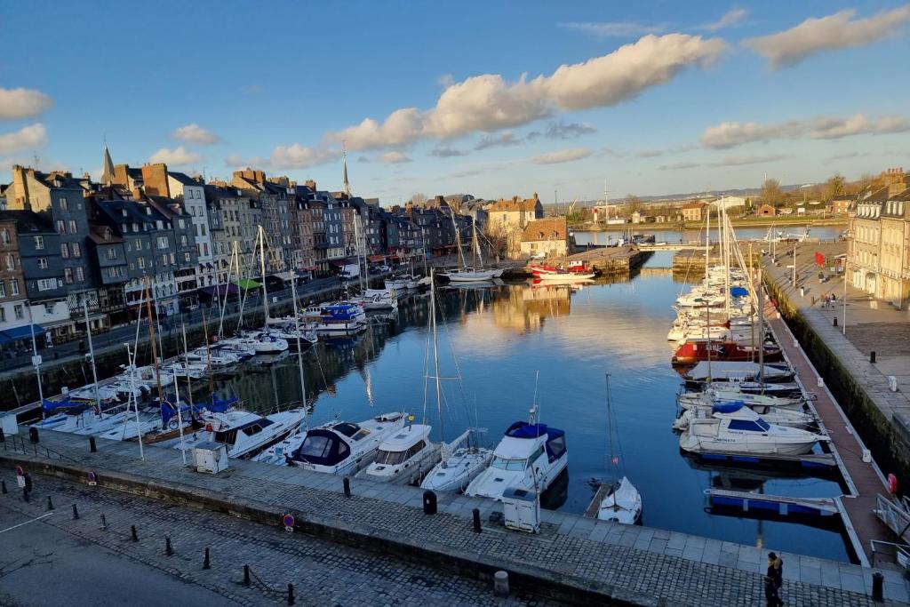 Appartement Racing the wind - breathtaking view of the port - change of scenery guarant 7 rue chaussée, 14600 Honfleur