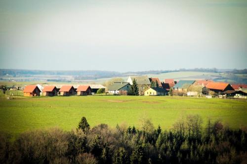 Chalets Ranch des bisons 2,ferme du grand niedeck (GPS: judenhof) Petit-Réderching