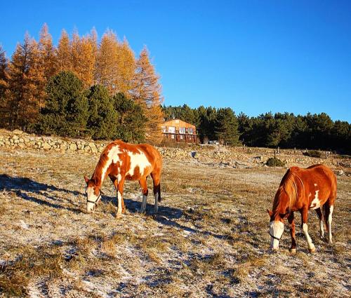 Ranch Le Serpolet Les Angles france