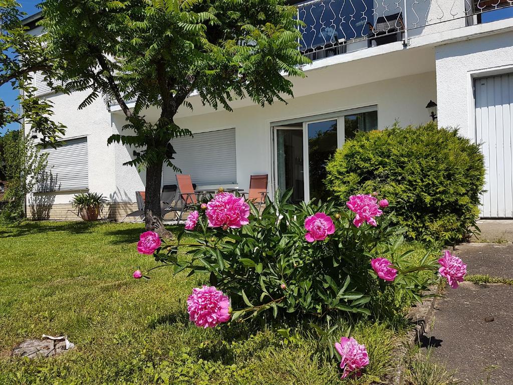Appartement RAUSZEIT-ToRoNi Terrasse 10, 34305 Niedenstein