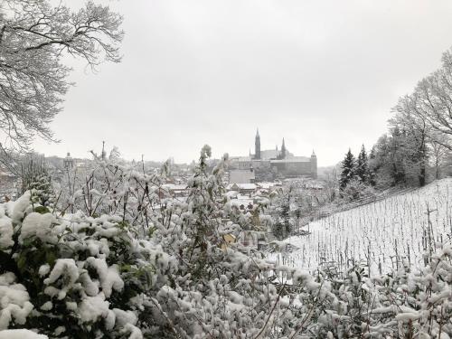 Rebenhaus Meißen Meissen allemagne