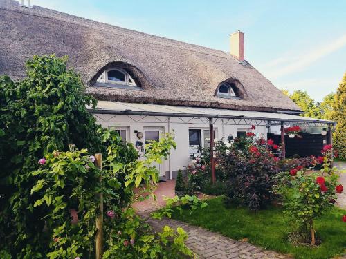 Appartements Reet Landhaus Rügen Lüßvitz 7 Ummanz