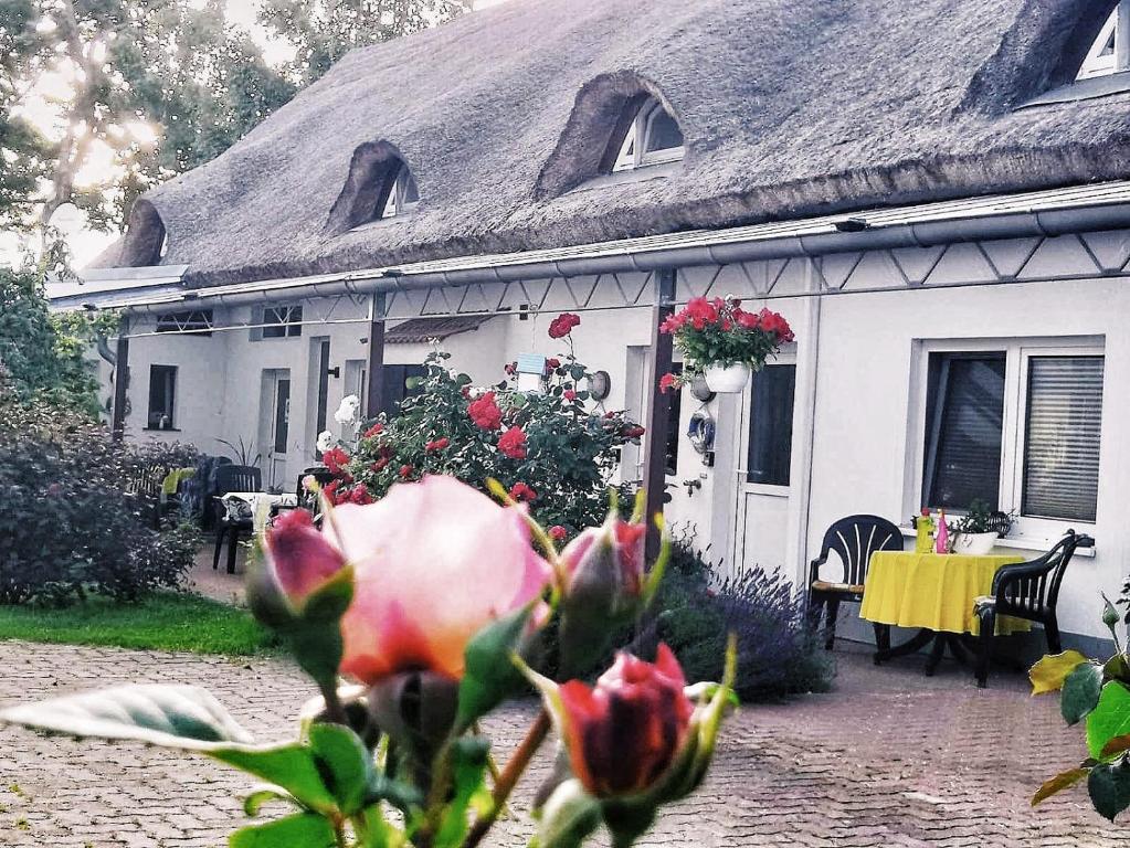 Appartements Reet Landhaus Rügen Lüßvitz 7, 18569 Ummanz