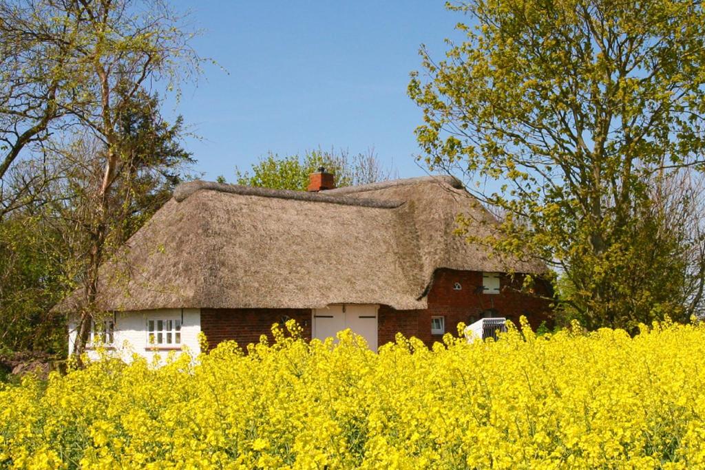 Maison de vacances Reethüs Diedersbüller Weg 3, 25924 Emmelsbüll-Horsbüll