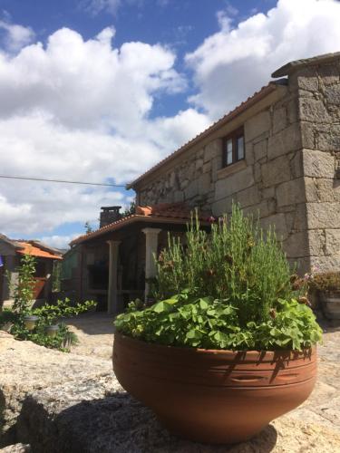 Séjour à la campagne Refugio dos Cregos Caminho da Casa dos Cregos, 94, Riba de Mouro Riba de Mouro