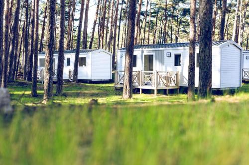 Camping Regenbogen Göhren Am Kleinbahnhof Göhren