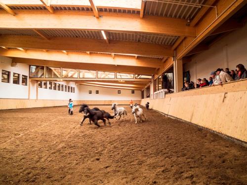 Reit-und Sporthotel Nordmann Stangerode allemagne