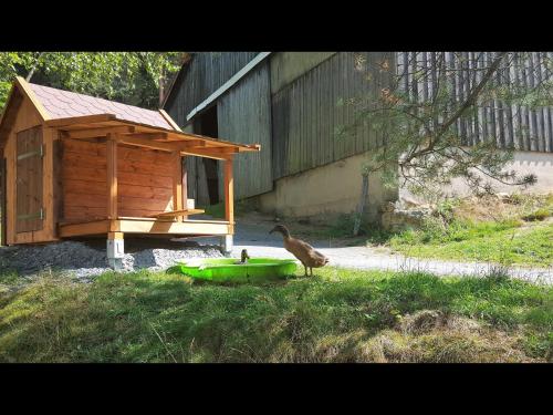 Séjour à la ferme Reiterhof Finkenmühle Fewo Sancho Finkenmühle 2 Weißenstadt