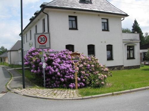 Reiterhof & Pension Lienemann Grünbach allemagne