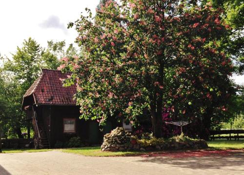 Maison de vacances Reiterhof Winandy 6 Reiningen Wietzendorf