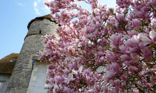 Relais de Chasse SASU GUTA Chantenay-Saint-Imbert france