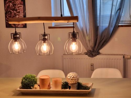 RELAX Wohnung an der Bergstraße mit Garten Groß-Rohrheim allemagne