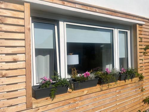 Appartements Relitto Sommerhaus 3 Franzosenschanze Borkum