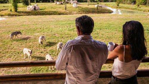 Rendez-Vous en Terre Animale Sury-aux-Bois france