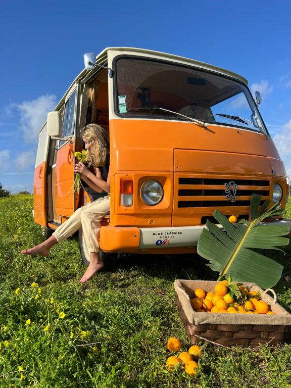 Tente de luxe Rent a BlueClassics 's Campervan combi J9 en Algarve au Portugal 10 Rua dos Operários Conserveiros, 8500-000 Portimão