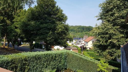 Rentrisch am Waldrand Saint-Ingbert allemagne