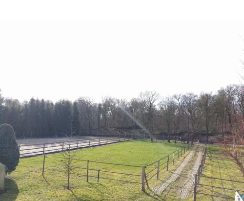 Séjour chez l'habitant Repos plaisir au milieu des chevaux Rez de jardin 63A Rue du Rhin Kembs