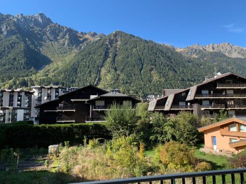 Appartements Résidence Androsace du Lyret 23 Allée Fantie Chamonix-Mont-Blanc