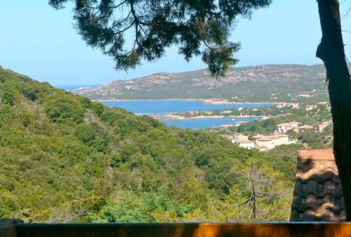 Villa Résidence de tourisme Les Hauts de l'Avena Tizzano Col de Zivia Sartène