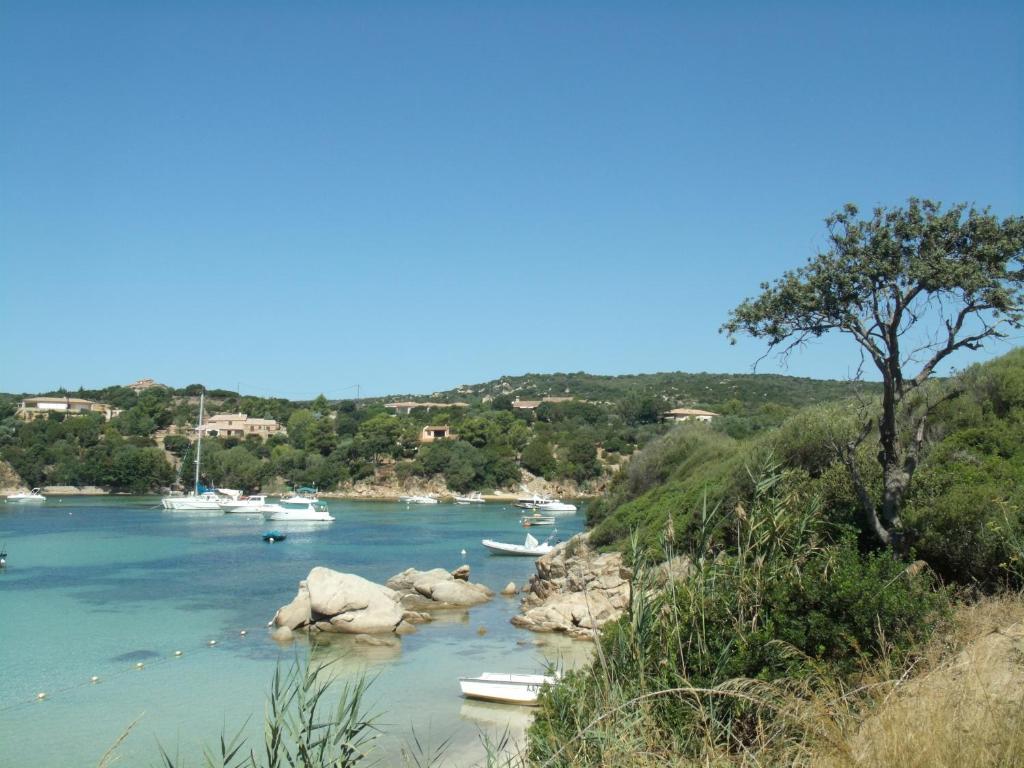 Appartements Résidence Fioravanti Villas Valinco Chemin de la Plage, 20100 Tizzano