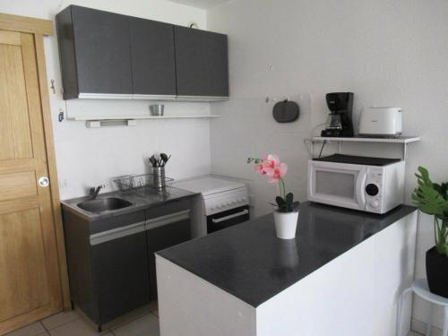 Appartement Résidence Floralies 1 - Studio pour 4 Personnes 074 430 av.du Palais de la Mer Rés. Floralies 1, Chardons bleus n°427 2e étage Pk N°483 Le Grau-du-Roi