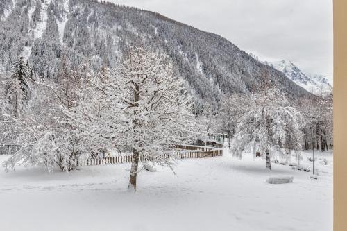 Appartement Résidence Grand Roc - Bruyères 07 - Happy Rentals Chemin sous la Grand Chamonix-Mont-Blanc