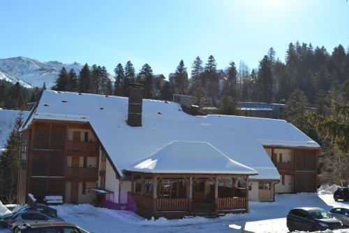 Appartement Résidence LE BEC DE L AIGLE - N°15 7 Route du Plomb du Cantal Laveissière