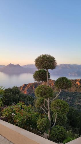 Résidence Le Bella Vista Piana france