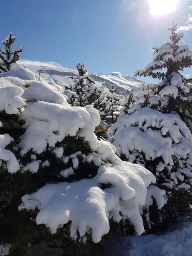 Appartement Résidence : Le Crystal Chalet 14 chemin de la Sea lieu dit Clos des Fonds Les Deux Alpes