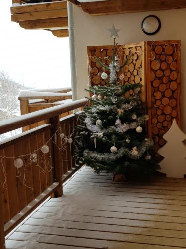 Résidence : Le Crystal Chalet Les Deux Alpes france