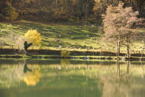 Résidence les Bords du Lac Le Lauzet-Ubaye france