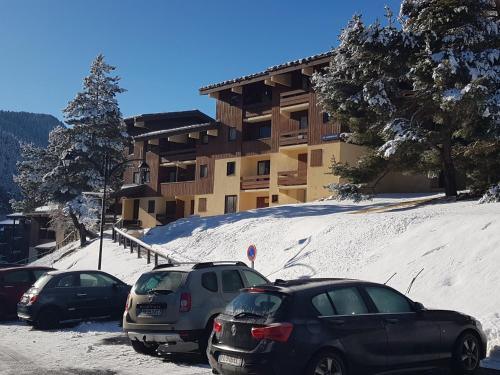 Résidence les Campanules appartement entièrement rénové à 100m des pistes Villarodin-Bourget france