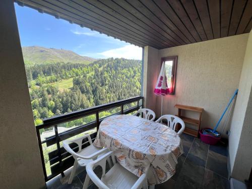 Appartement Résidence les Cristallines 7 Route du Plomb du Cantal Le Lioran