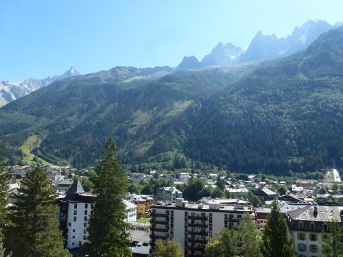 Appartements Résidence Majestic 353 Allée du Majestic Chamonix-Mont-Blanc