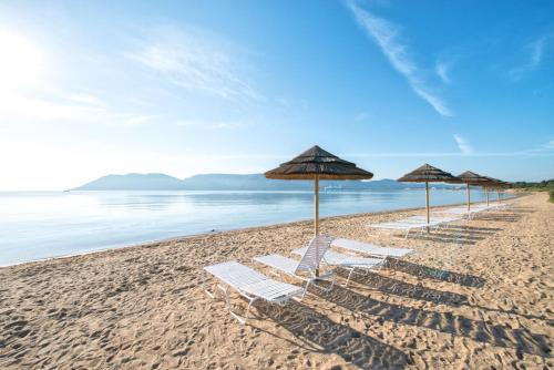 Appart'hôtel Résidence Paese Serenu voie d'Arena - Marina di Fiori Porto-Vecchio