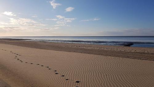 Appartements Residenz Atlantic Strandhausallee 29 Cuxhaven