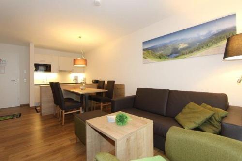 Appartement Residenz-Grafenmatt-Feldberg-Schwarzwald Passhöhe 13 Feldberg