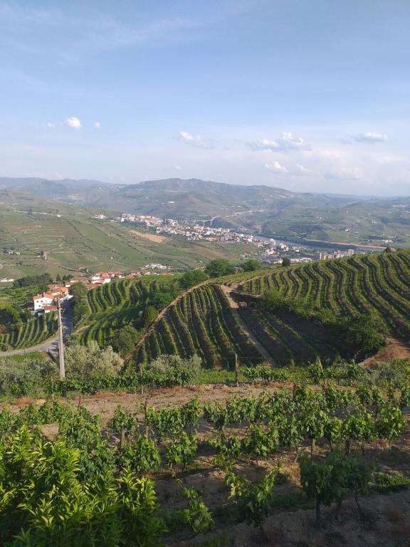 Maison de vacances Retiro da Quinta do Souto Rua da poça, 179, 5050-317 Peso da Régua