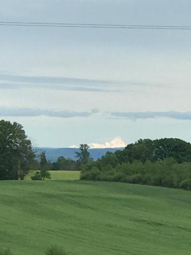 Retour à la nature et au calme, et les tilleuls les Dameys Bosjean france