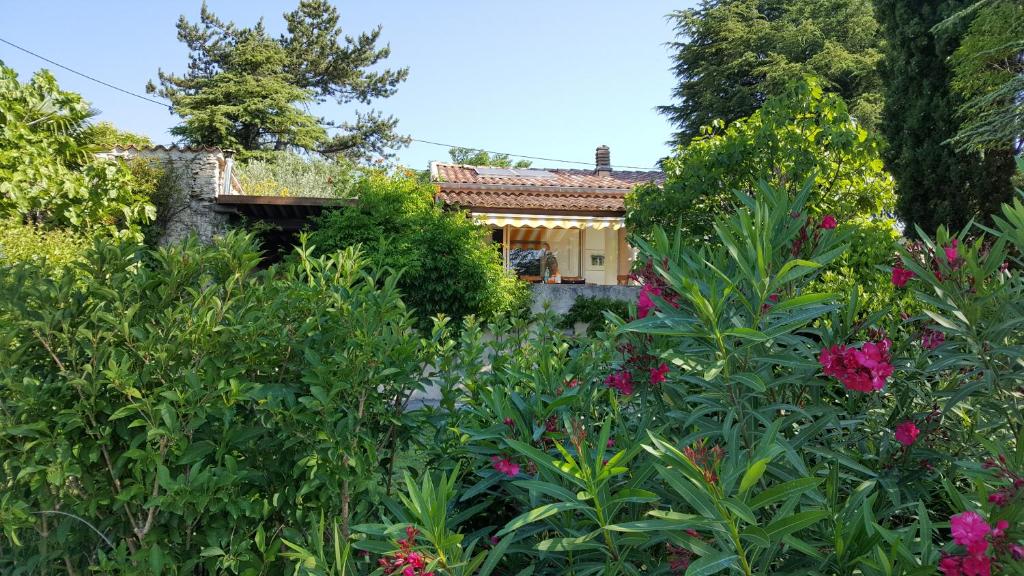 Villa Rêve de Provence Villa avec jardin et piscine 9 Avenue de l'Observatoire, 04300 Forcalquier