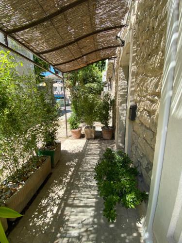 Appartement Réveil en Provence Rez-de-chaussée 26 Boulevard Mirabeau Saint-Rémy-de-Provence