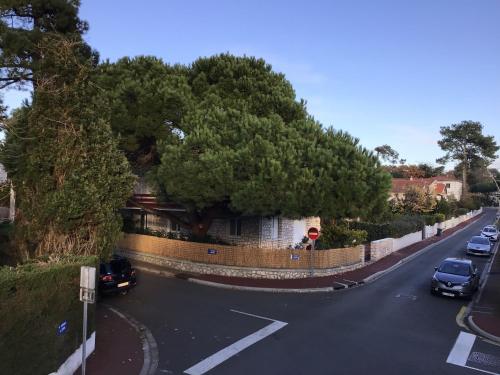 Rêves exotiques au bord de l'atlantique Royan france