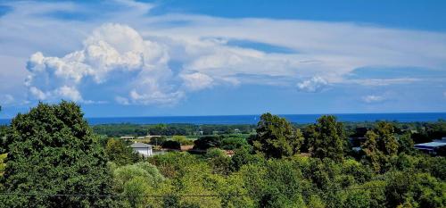 Appartement Rez de villa tout confort avec piscine Pellicci Penta-di-Casinca