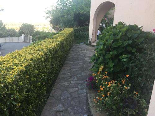 Appartement Rez de Villa Vue Mer Panoramique Les Collines 2 - Montee Santa Barbara Allée des Violettes Furiani
