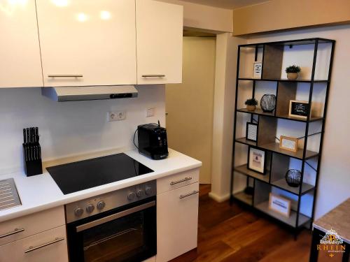 Rhein Apartment Souterrain Study Vallendar allemagne