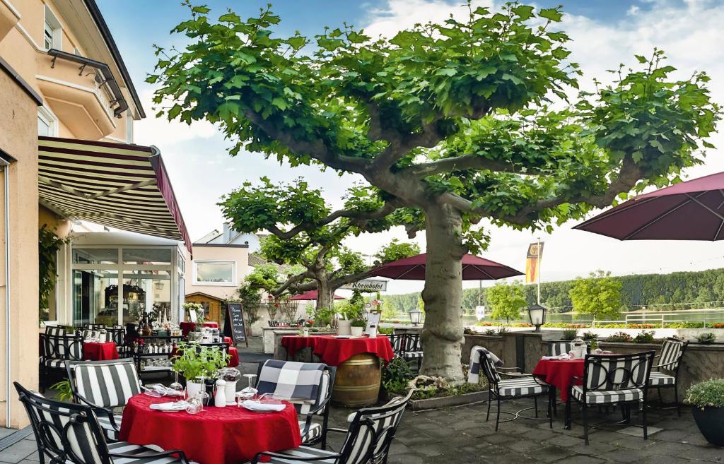 Hôtel Rhein-Hotel Nierstein Mainzer Straße 16, 55283 Nierstein