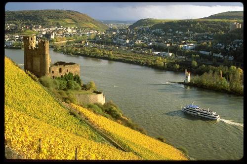 Hôtel Rheinhotel Lamm Rheinuferstraße 6 Rüdesheim am Rhein